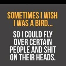 Why I Really Wish I Could Fly Love Humor Sarcasm Funny Life Love Perspective Quotes Dryhumor Smile Laughter Jokes Quotes Funny Quotes Best Quotes