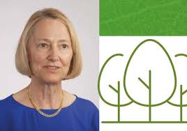 The Sustainability Hub: Why? What? Who? & How?