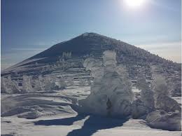 Image result for Hakkoda Walk