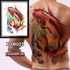 Cá chép hóa rồng xăm ở trên lưng mang lại nhiều may mắn đến cho bản thân cũng như muốn khẳng định sẽ đạt thành công như mong muốn, mục tiêu đã đề ra. Hinh XÄƒm Dan Kin LÆ°ng Ca Chep Xdm022 Giáº£m Chá»‰ Con 69 000 Ä'