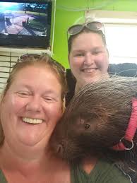 Best place for sloth and monkey interaction?