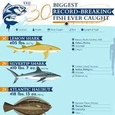 Vital records, usually kept by a civic authority, can give you a more complete picture of your ancestor, help you distinguish between two people with the same name, and help you find links to a new generation. The 30 Biggest Record Breaking Fish Ever Caught Hmy Yachts