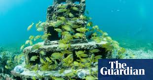 How do coral reefs form? From Concrete To Coral Breeze Blocks Make A Splash Regenerating Reefs Science The Guardian