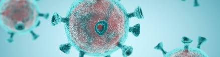 In the winter and spring of 2020, the world found itself in the midst of a pandemic. Coronavirus Covid 19 Information Hub Iru