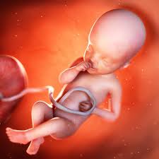 Dr. Aliabadi Discusses Fetal Hiccups In Verywell Family -...