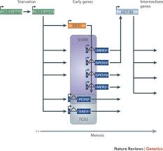 Water and electrical equipment don't play well together, so if you want to protect your electrical cable from water damage, you'll need to know the best way to waterproof it. Functional Consequences Of Developmentally Regulated Alternative Splicing Nature Reviews Genetics