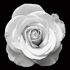 These uplifting prayers for grieving widows will help the individual spiritually and emotionally recover during this time of deep heartache. A Complete Stranger S Kindness Towards A Young Grieving Widow Kindness Blog