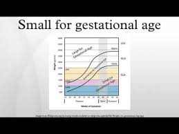 videos matching how to calculate gestational age in hindi