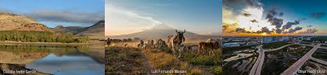 Por qué se pierde la biodiversidad? | Biodiversidad Mexicana