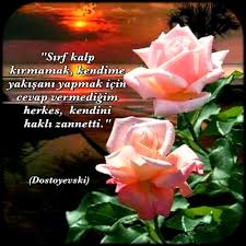 Nisa Islam Guzel Soz Hayat