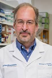 Microscopic Magnificence