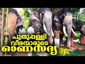 Puthuppally Elephants - Official Channel - YouTube