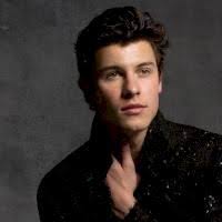 Shawn Mendes If I Can T Have You Download Mp3 For Free Cant Have You Shawn Mendes Mendes