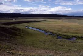 We did not find results for: Pelican Valley In Yellowstone Yellowstone National Park Yellowstone National Yellowstone