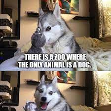 Maybe you would like to learn more about one of these? Dadjokesnmemes Dadjokesnmemes Twitter