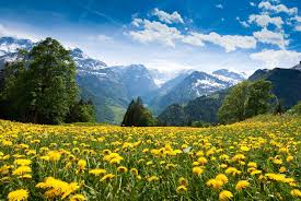 We did not find results for: Swiss Alps Spring Wallpapers Wallpaper Cave