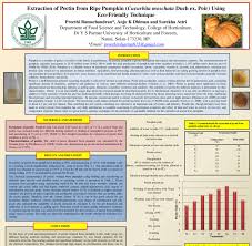 flow chart for extraction of pectin from pumpkin by heating