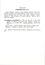 Image result for Limnophyton obtusifolium