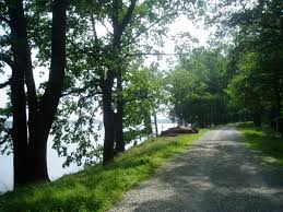 Největší rybník u nás má plochu bezmála 650 hektarů, a ne nadarmo se mu tak často přezdívá. Rozmberk Nejvetsi Rybnik V Cr Trebon A Okoli Trebonsko Cz