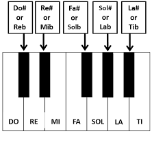 The sound frequencies of the 88 keys on the piano are Keyboard Notes Piano Notes Simplifying Theory