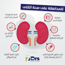 pin by صورة و كلمة on معلومة information knowledge chart pie chart