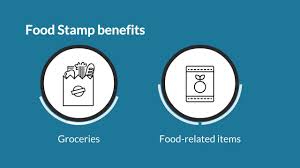 Food Stamp Program Supplemental Nutrition Assistance