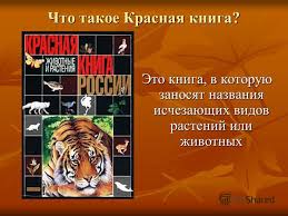 проект красная книга 2 класс окружающий мир скачать бесплатно Prezentaciya Na Temu Proekt Krasnaya Kniga Ili Vozmyom Pod Zashitu Vypolnil Uchenik 2 V Klassa Vypolnil Uchenik 2 V Klassa Tkachuk Timofej Skachat Besplatno I Bez Registracii