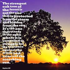 I am a mighty and ancient oak tree with limbs always reaching out. Mighty Oak Tree Quotes Quotesgram