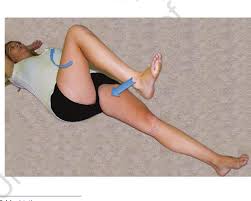 Image result for Obturator Sign