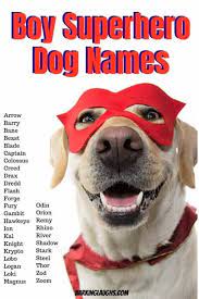 700 Best Boy Dog Names With Meanings Updated 2021 Boy Dog Names Boy Dog Names Unique Dog Names