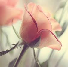 Buy stock pictures at affordable prices to enrich your online and offline projects. Awesome Backgrounds Home Facebook