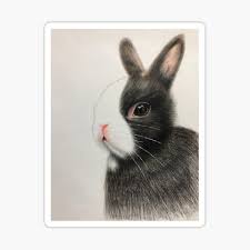 Are there any rabbits that have white fur and red eyes? Minecraft Bunny Stickers Redbubble