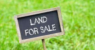 We work closely with various government and private agencies to find you the very. Tips For Brokers How To Sell A Land