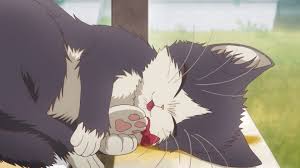 Doukyonin Wa Hiza Tokidoki Atama No Ue 08 Lost In Anime Anime Aesthetic Anime Anime Cat