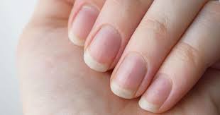 It's you, the little people, who make this all worthwhile, i say, tearfully. How To Grow Your Nails Faster Than You Ever Thought Possible Expert Home Tips