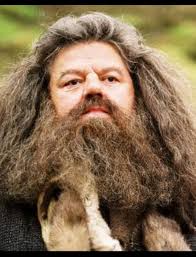 ❓️ SO WHAT IS HAGRID? Hagrid is what's more traditionally known as humidity  ... Large parts of this most recent Summer have again left us feeling part  amphibian, and melting sprinkles on