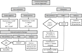 We did not find results for: Suggested Algorithm For The Management Of Male Breast Cancer Staging Download Scientific Diagram