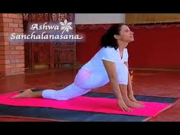 Art Of Living Sun Salutation Surya Namaskara Youtube