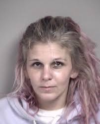 Name: Holley Danielle Wilson Age/Gender/Race: 30/Female/White Arrest Date:  07/29/2025 Charges: 1. Breaking and Entering
