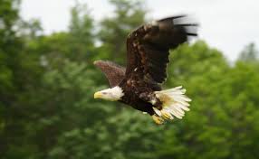 Franchu Lamanna desnuda y arousing en Erome con videos porno de Lamanna - desnuda y cogiendo