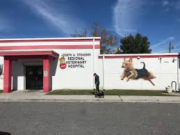However, after a move to a new town, it's advisable to try and seek. Jax Nonprofit Saves Animals By Helping Low Income Pet Owners And Strays Wjct News
