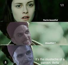 Bees and Ecosystem Health