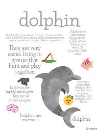 Jun 30, 2020 · dolphins interesting facts quiz: Ocean Life Trivia Posters Etsy Trivia Poster Ocean Activities Ocean Lesson Plans