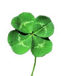Download Free png Four Leaf Clover Transparent PNG Image #139 - PNG Mix -  DLPNG.com