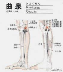 女子保养之妙穴 曲泉 屈膝内侧陷如泉眼 故名曲泉 五行属水 木之母 善补肝肾 此穴找准后针之 用烧山火或我课上所讲之补法 可暖肝温腹 散解胞宫寒冷 经常按揉之 可滋养肝血 改善月经量偏少 by 中易行者