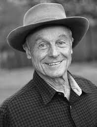 ABC Amber PDF Merger