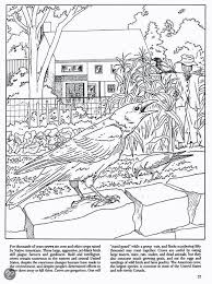 Https Www Google Com Au Blank Html Coloring Pages Nature Animal Coloring Pages Coloring Books