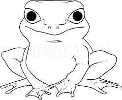 Draw two arcs facing each other inside the oval which forms the body of the frog. How To Draw A Simple Frog Step By Step Drawing Guide By Dawn Dragoart Com