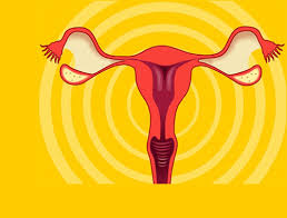 Finally, if you're lying on your side and notice a shift of your belly downward, this is a sign of ascites…as depicted below. Ovarian Cancer Drug Resistance Protein Identified