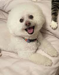 Fern Cleary's Instagram, Twitter & Facebook